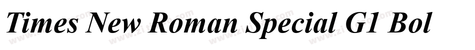 Times New Roman Special G1 Bold Italic字体转换